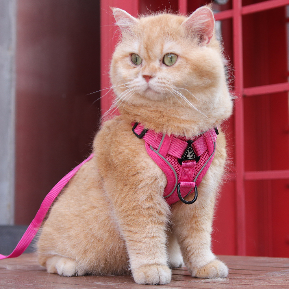 V888-ELOSUNG26068-202504141622-00 Rose Red Reflective Mesh Dog Harness and Leash Set - Adjustable No-Pull Vest - M - Image 1