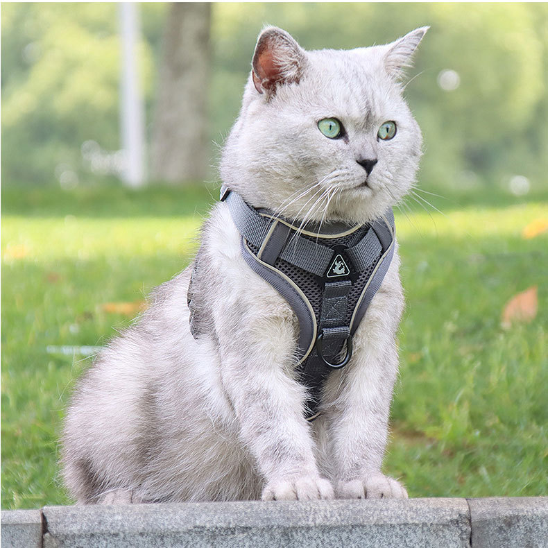 V888-ELOSUNG26081-202504141635-00 Grey Reflective Mesh Dog Harness and Leash Set - Adjustable No-Pull Vest - M - Image 1