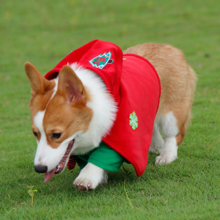 V888-ELOSUNG26955-202505191237-00 Christmas Dog Costume - Festive Hooded Cape & Green Jumpsuit Outfit (Size : 3XL) - Image 1
