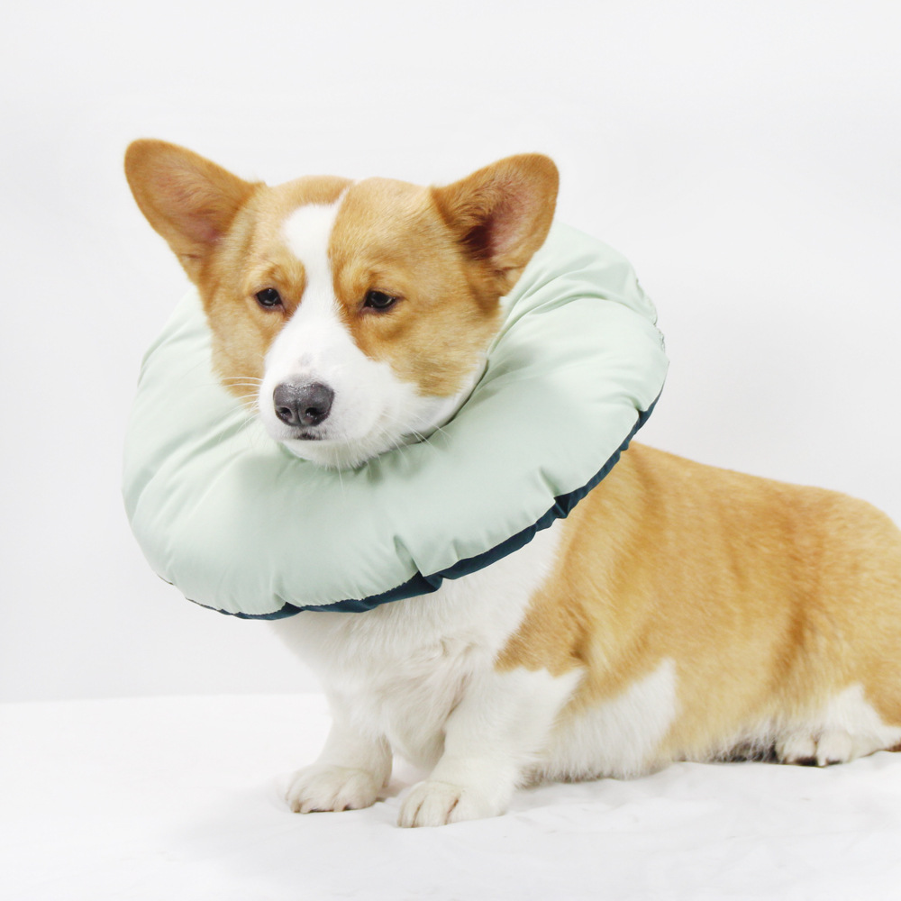 V888-ELOSUNG26971-202505191417-00 Green Adjustable Soft Elizabethan Collar for Pets - Comfortable Recovery Aid - XL - Image 1