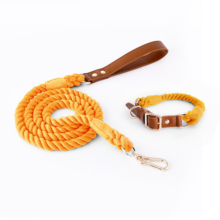 V888-ELOSUNG31275-202505301207-00 Premium Leather Pet Collar and Leash - Soft, Strong Braided Rope (Honey orange - Size L) - Image 1