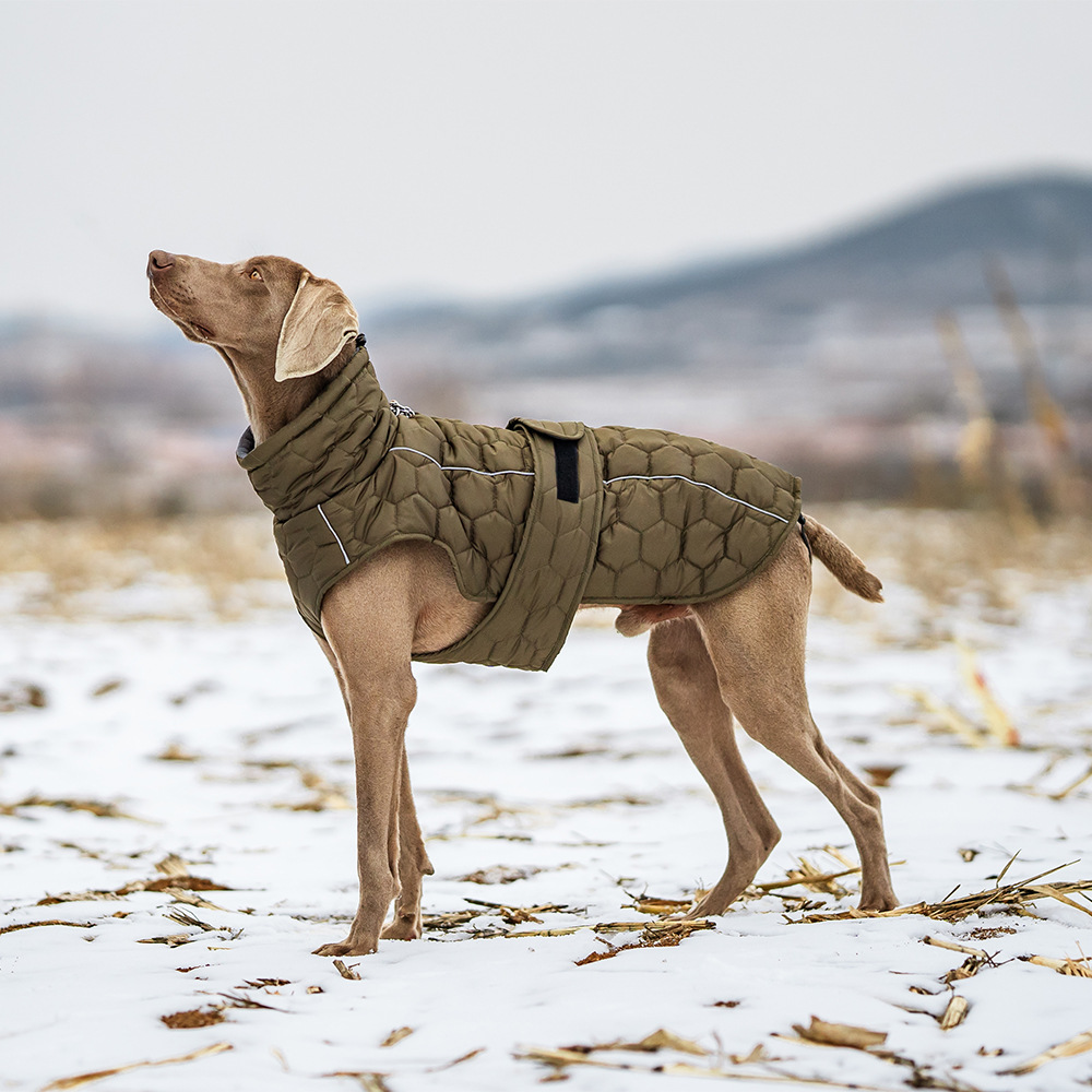V888-ELOSUNG32053-202505261531-00 Size 2XL Olive Green Warm Quilted Dog Winter Coat - Adjustable Fleece-Lined Puffer Vest with Reflective Trim & Leash Port - Image 1
