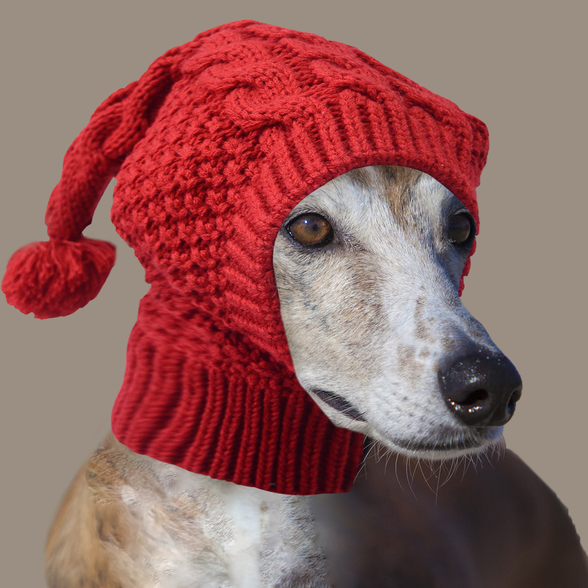 V888-ELOSUNG32782-202507020952-00 Size M Red Whimsical Knit Dog Hat with Pom-Pom - Cozy Winter Pet Beanie & Snood - Image 1