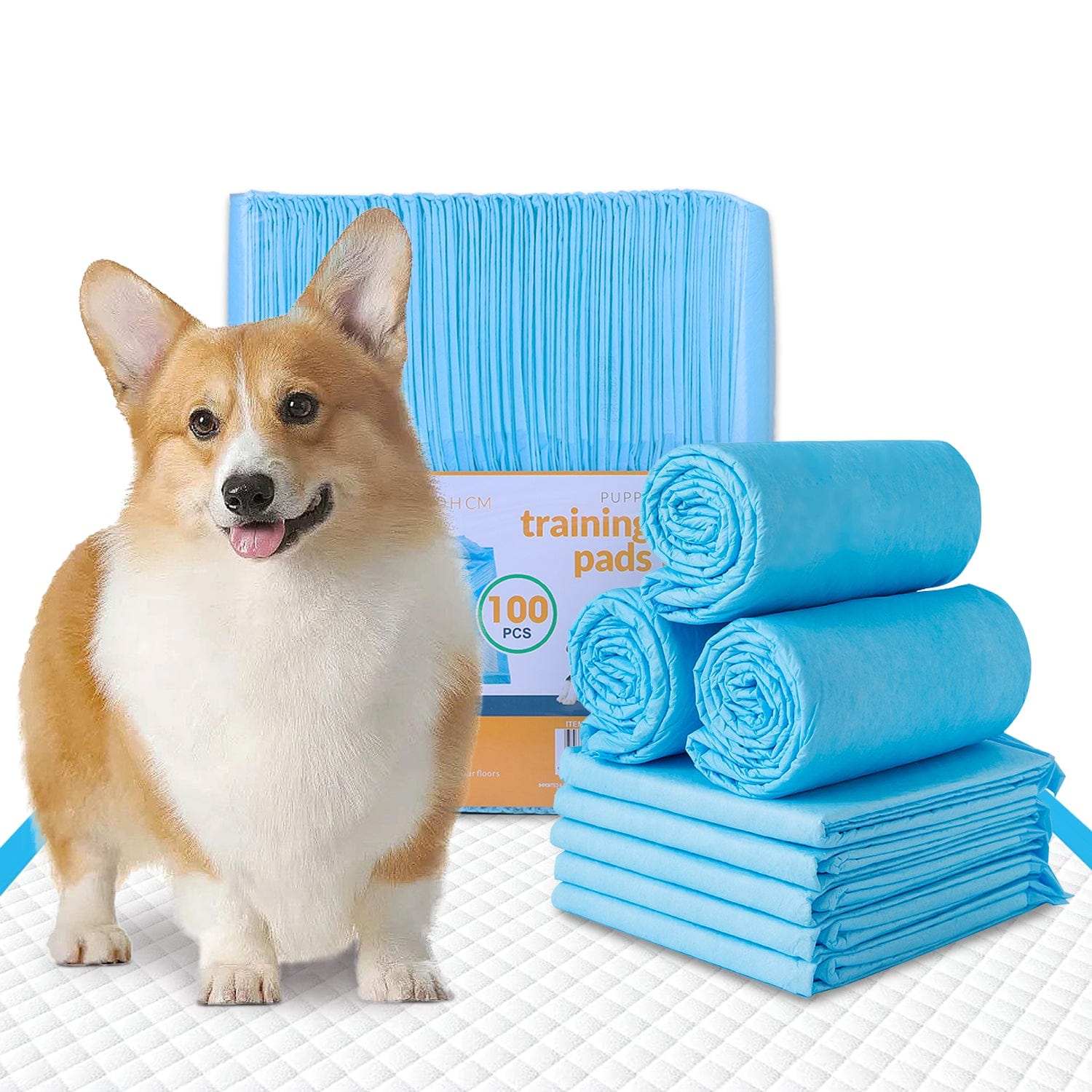 V915-MB0045-203993-00 100pcs Dog Absorbent Training Pad 60 x 60 cm - Image 1