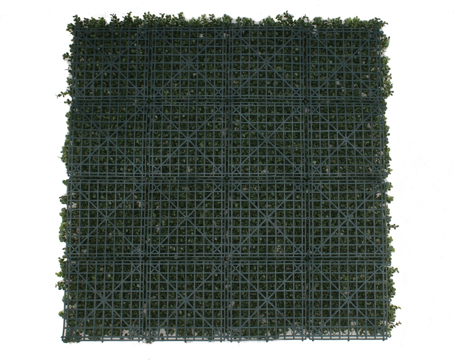 back-min_3 Premium Natural Buxus Hedge Panels UV Resistant 1m x 1m - Image 1