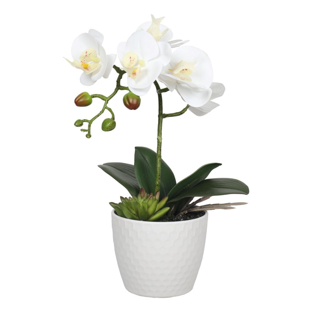 fc2a8889_-min Potted Single Stem White Phalaenopsis Orchid with Decorative Pot 35cm - Image 1