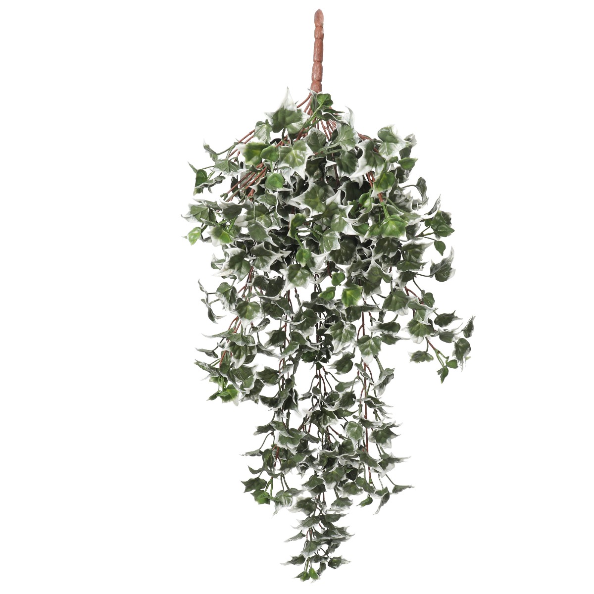 fc2a8924_13 Mixed Green and White Tipped Ivy Bush 80cm UV Resistant - Image 1