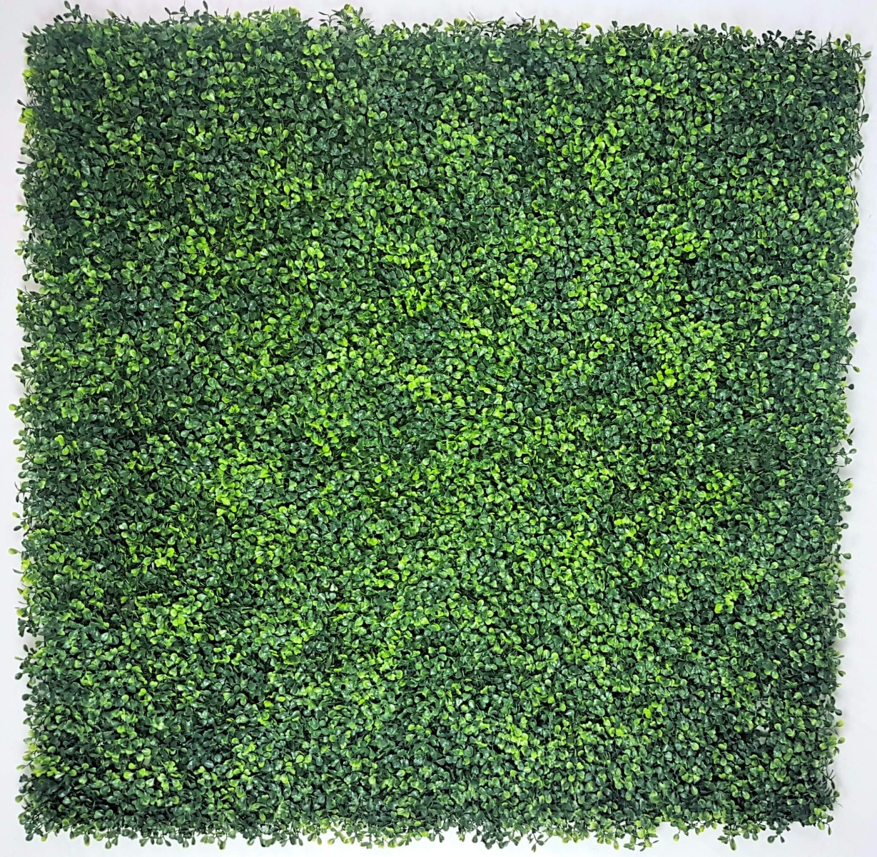 mixed_boxwood_screen_1__8 Mixed Boxwood Hedge Panels / Screens UV Resistant 1m x 1m - Image 1