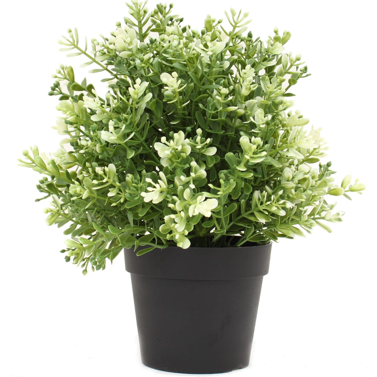 potted_artificial_white_jade_plant_1013009_1__4 Small Potted Artificial White Jade Plant UV Resistant 20cm - Image 1