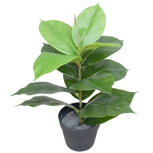 rubber_plant_1__8 Artificial Potted Rubber Plant 55cm - Image 1