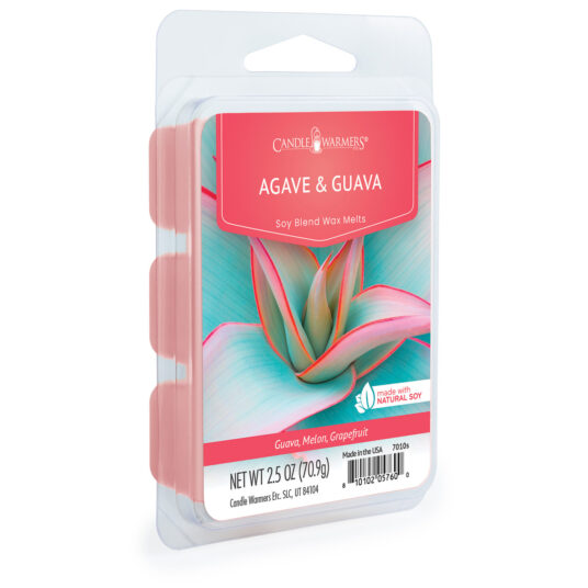 V1049-7010S-202508141840-00 Agave & Guava Classic Wax Melts 2.5oz - Image 1