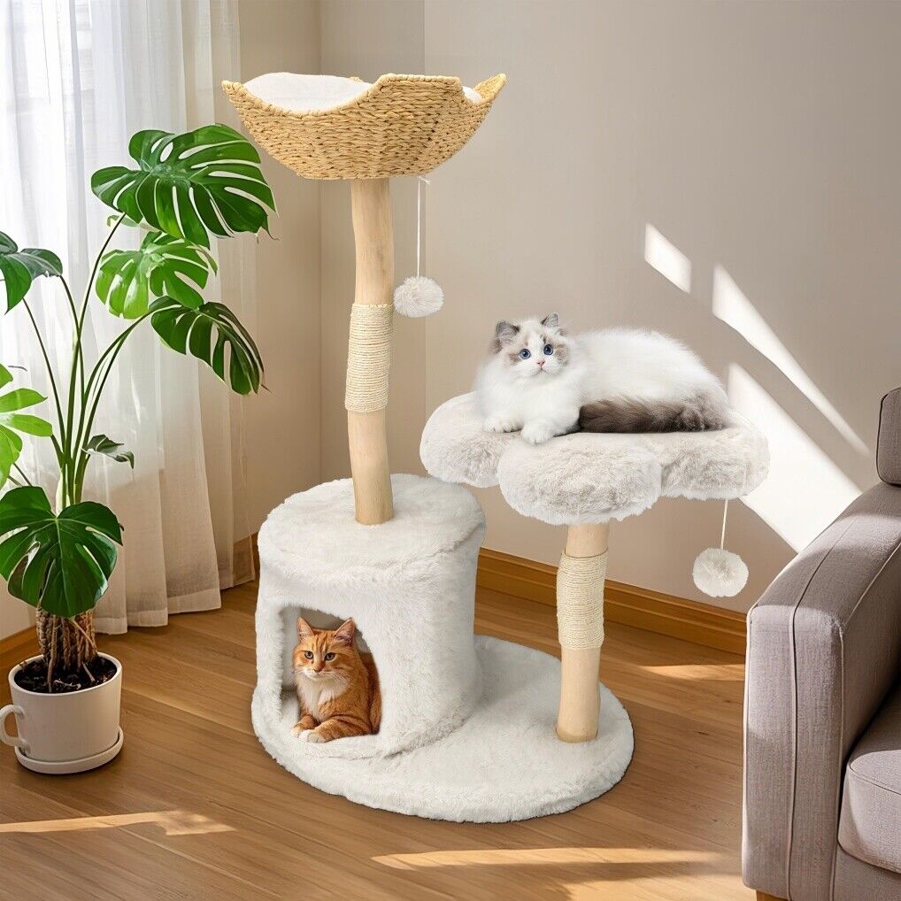 V178-66924-202508050915-00 Cat Tree Condo Activity Center Sisal Scratcher Tower - Image 1