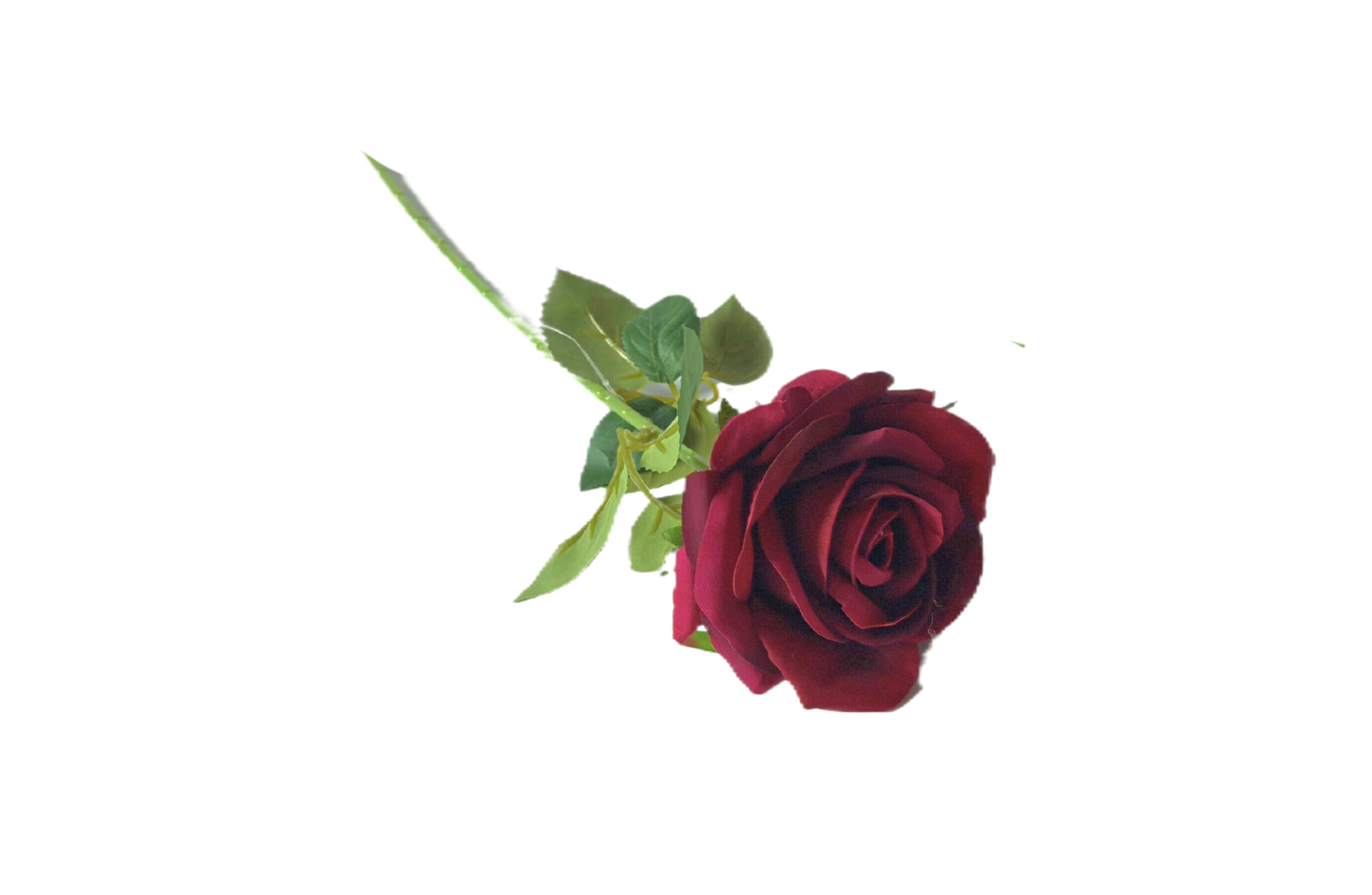 V292-HD-PLANT-STEMROSE-50CM-RED-SO8-202509031640-00 Artificial Single Stem Rose 50cm -Red - Set of 8 Stems - Image 1