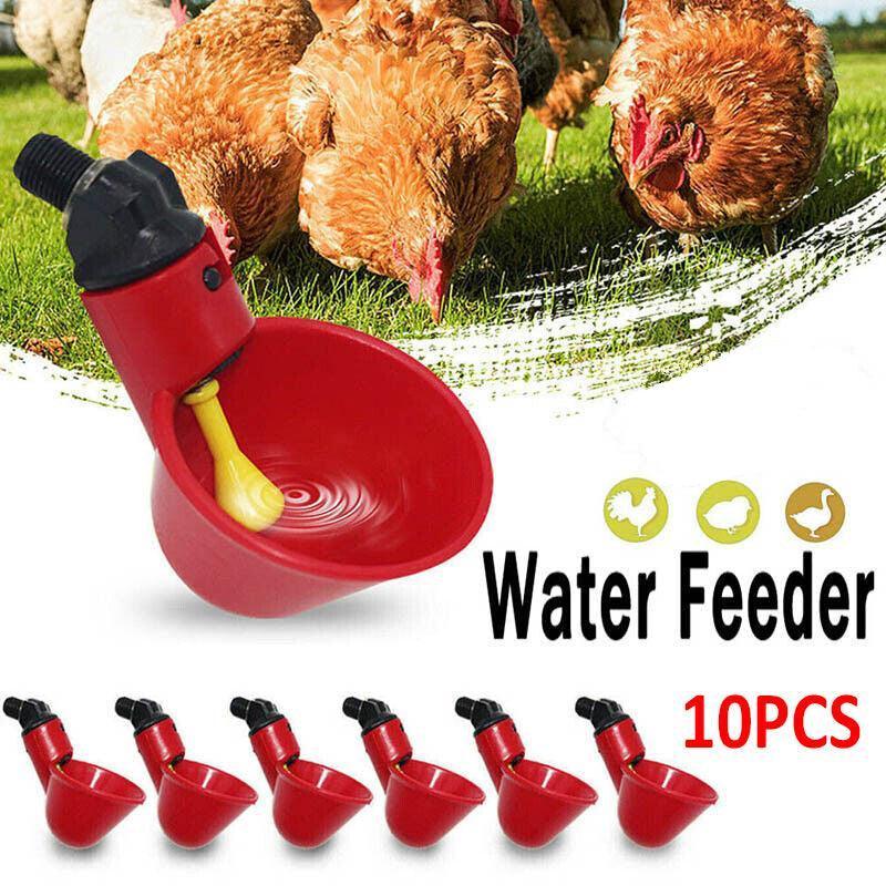 V528-10PCS-AUTOMATIC-P21902-202509251220-00 10 Pcs Automatic Poultry Waterer Cups for Chickens & Birds - Image 1