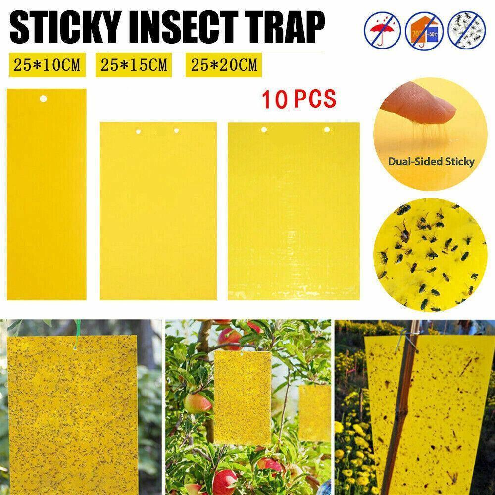 V528-ARMYWORMBOARD-25-20-10PCS-46544-202509301636-00 10PCS Yellow Sticky Paper Insect Trap Catcher Killer Fly Aphids Wasp - 25x20cm - Image 1