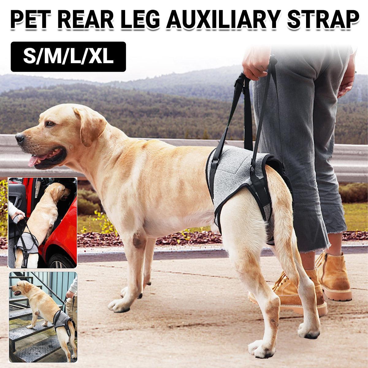 V528-AUXILIARY-HARNESS-G-L-558182-202509301145-00 Decompression Back Leg Strap for Injured and Older Dogs Support Harness Aid - L - Image 1