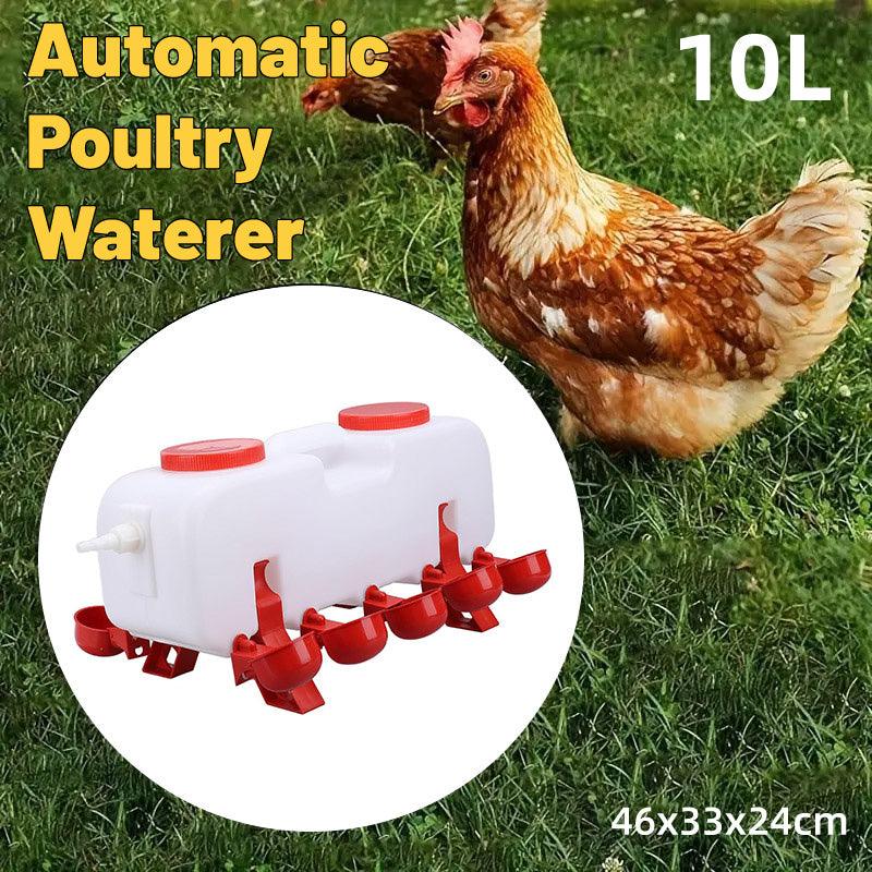 V528-CHICKEN-145788-202509251647-00 10L Chicken Poultry Automatic Drinking Tank Drinker Feeding Pot Water Dispenser - Image 1