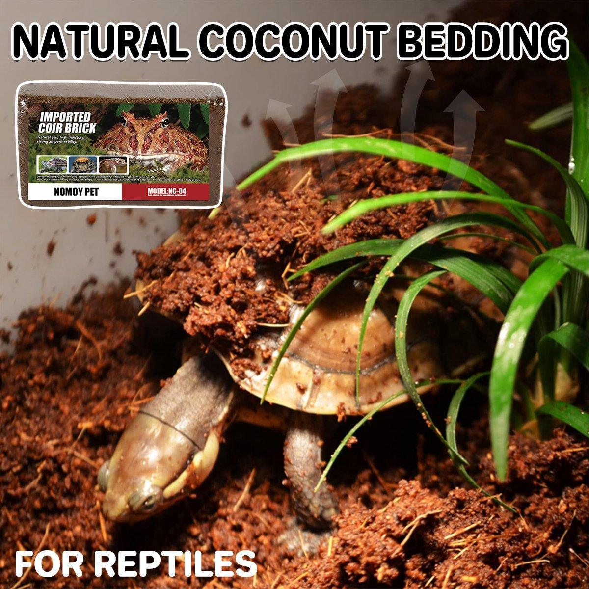V528-COIR-BRICK-925397-202509291527-00 Natural Coconut Fibre Reptile Bedding Brick 650g Substrate for Tortoise Snake Spider - Image 1