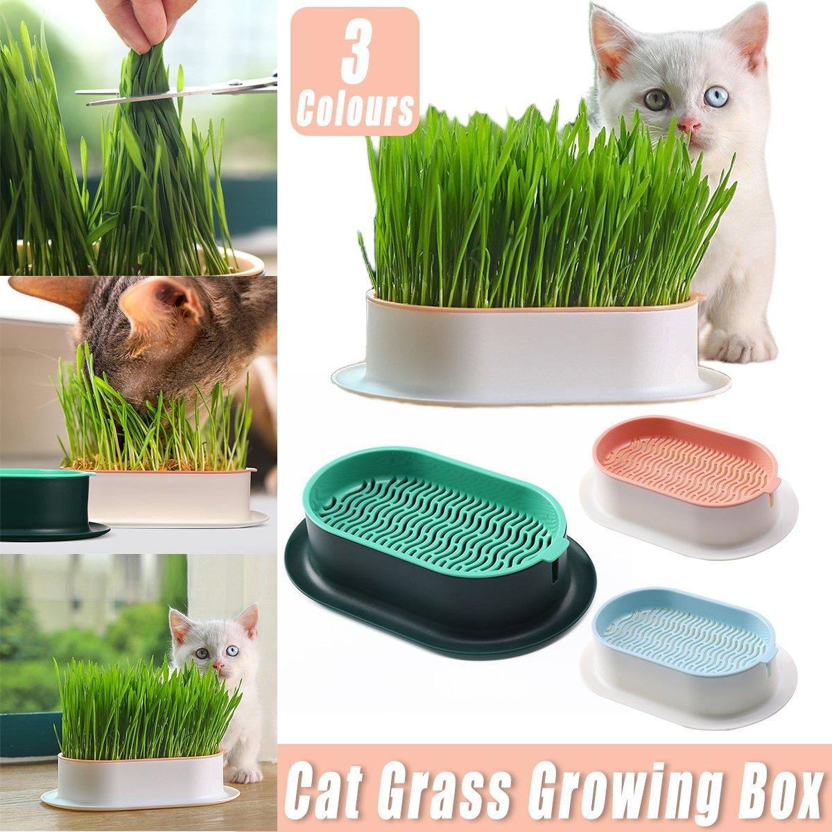 V528-HYDROPONIC-CELL-BLUE-808464-202509302254-00 Catnip Hydroponic Box with Cat Snacks Growing Kit for Cats Fresh Catnip Bowl - Blue - Image 1