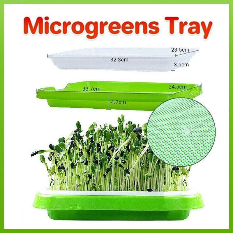 V528-HYDROPONICTRAY-107825-202509250935-00 Double Layer Microgreens Tray for Hydroponic Seeding Germination Wheatgrass - Image 1
