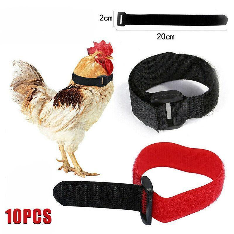 V528-NECKBELT-10PCS-RED-230160-202510010009-00 10pcs Rooster Anti Crow Collar Adjustable Nylon Neck Belt Poultry Sound Control - Red - Image 1