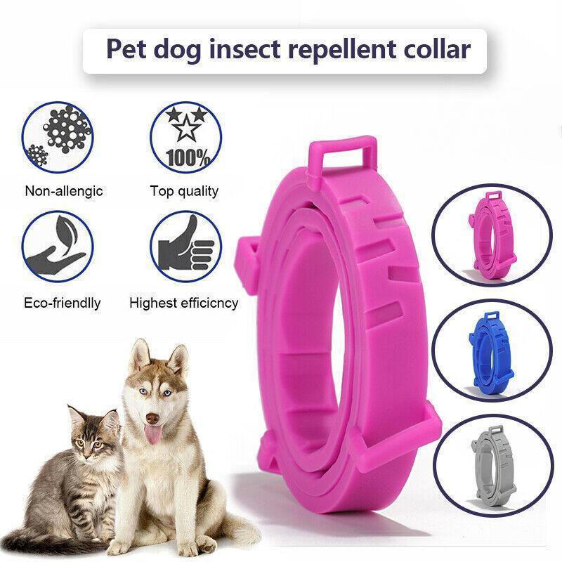 V528-PETCOLLAR-BLUE-LONG-963247-202509301318-00 Adjustable Flea and Tick Collar for Dogs and Cats with Natural Repellent - Blue - Image 1