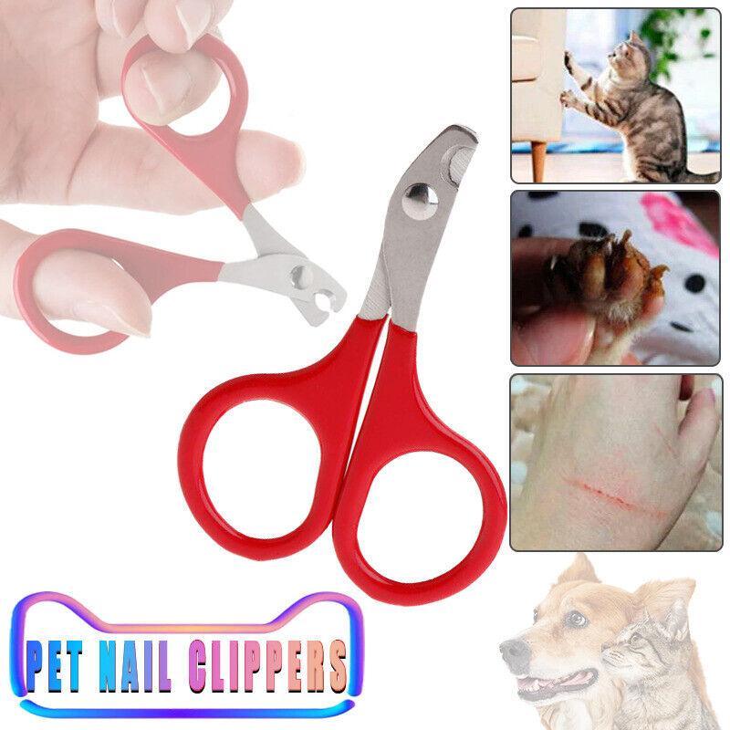 V528-PETMINISCISSORS-513025-202509251525-00 Pet Nail Claw Grooming Scissors Clippers For Dog Cat Bird Rabbit Ferret - Image 1