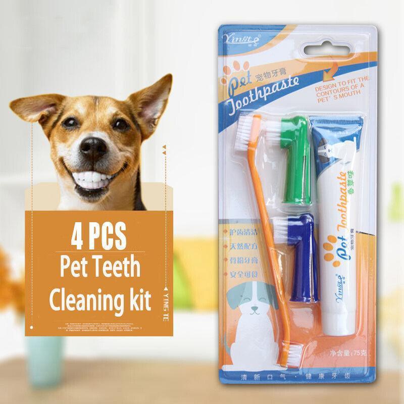V528-PETTOOTHPASTE-BLUE-72209-202509291527-00 Pet Dog Teeth Cleaning Toothpaste with Toothbrush and Backup Brush Vanilla Flavoured - Image 1