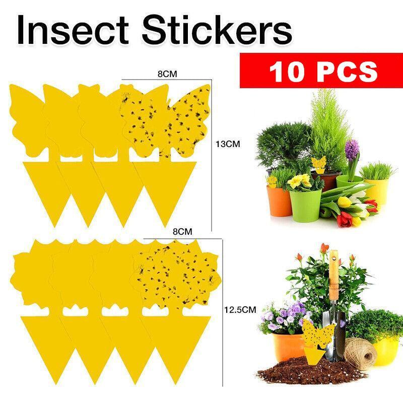 V528-STICKYTRAP-BUTTERFLY-10PCS-150774-202510010154-00 10X Dual Sided Sticky Trap Insect Killer Whitefly Thrip Fruit Fly Gnat - Butterfly 10PCS - Image 1