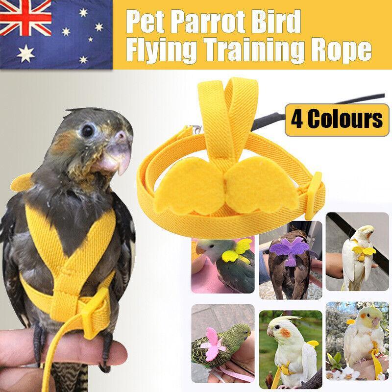 V528-TRAININGROPECOCKATIEL-PINK-86733-202510010936-00 Parrot Bird Harness Leash Adjustable Flying Training Rope Cockatiel Conure Budgie - Pink - Image 1