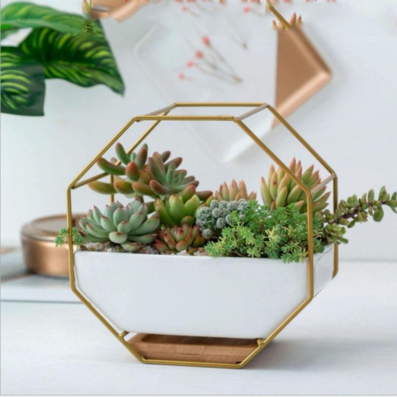 V562-A1015801040DBT-202508281105-00 Geometric Wall Hanging Table with Bamboo Support and Iron Frame for Succulents - Gold - Image 1