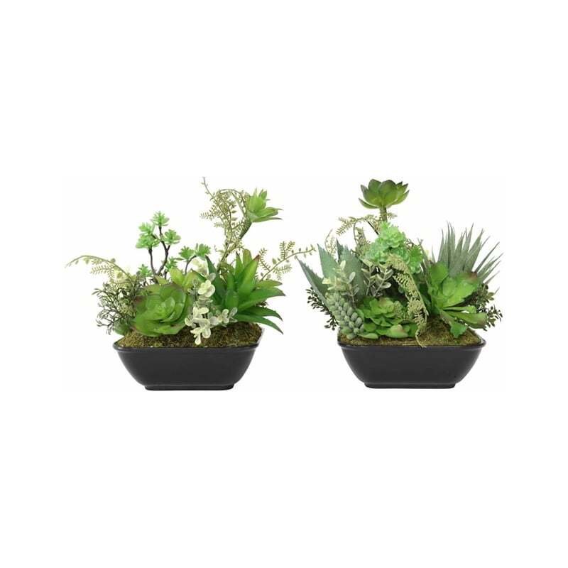 V637-05059SUC-202508251425-00 Set 2 Asst Potted Artificial Succulents 19cm - Image 1
