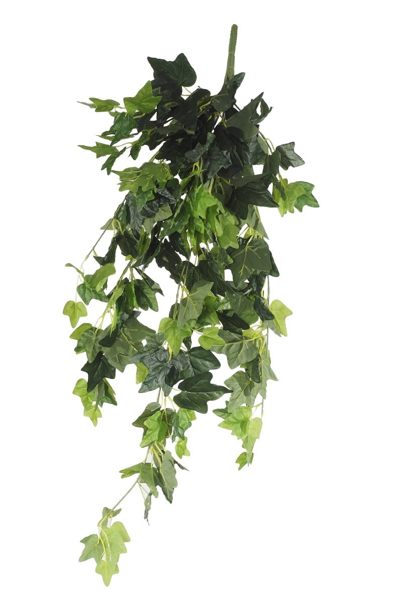 V637-1013760-202508251335-00 Ivy Garland Bush UV Treated 100cm - Image 1