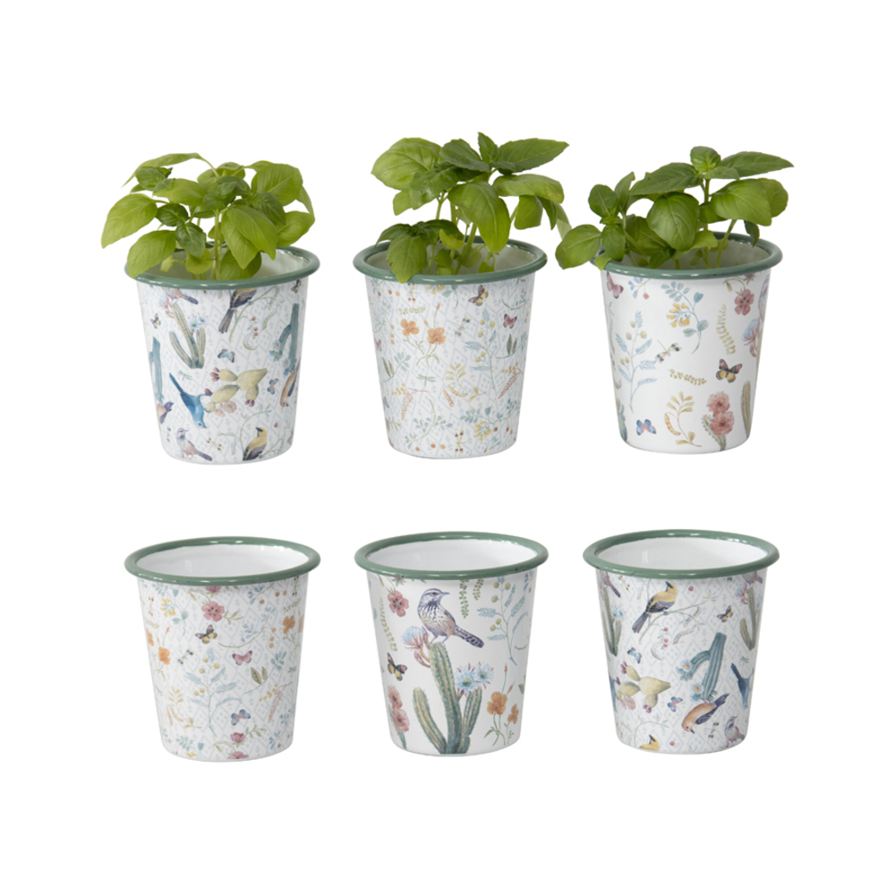 V637-11030PLN-202508251440-00 Set 6 Assorted Spring Colour Planters 9cm - Image 1