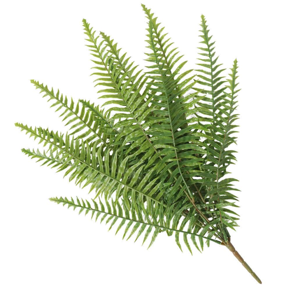 V637-1890029-202508251405-00 Artificial Fern (Lady Fern) 50cm UV Resistant - Image 1