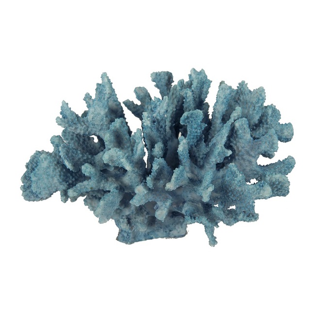 V637-20880-202508251235-00 Faux Blue Coral B 25cm - Image 1