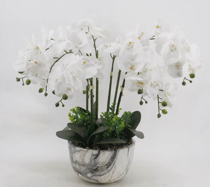 V637-AFL24778-202508251940-00 Large White Orchid In Marble Look Pot 64cm - Image 1