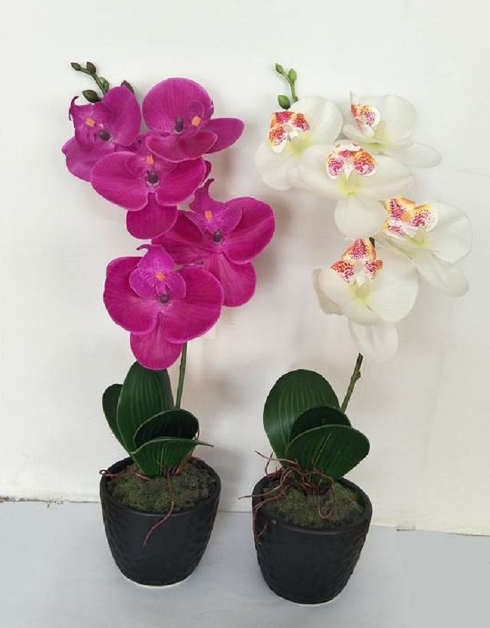 V637-AFL24991-202508251940-00 Set 2 Artificial Single Stem Orchid in Plastic Pot 32cm - Image 1