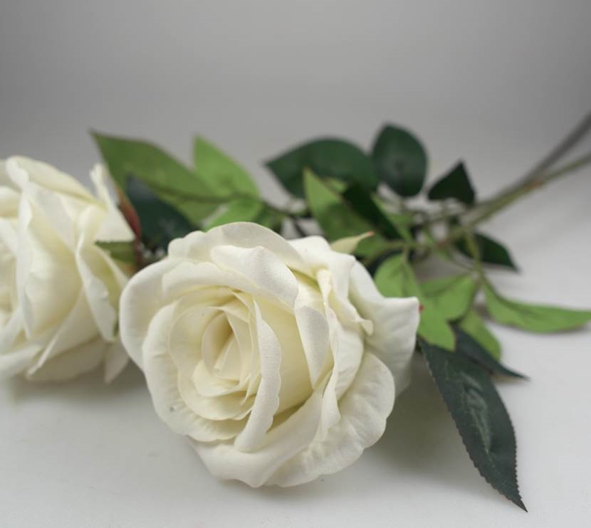 V637-AFL25017-202508251945-00 bulk 24 Articial Single Stem Rose White 62cm - Image 1