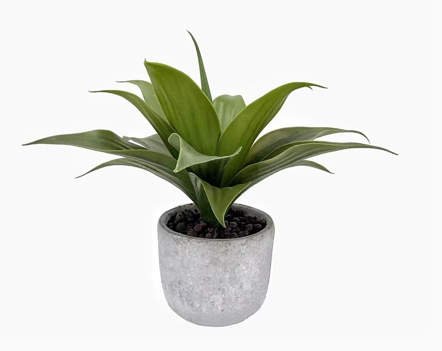 V637-AFL30756-202508251555-00 Artificial Aloe Vera in Cement Pot 36cm - Image 1