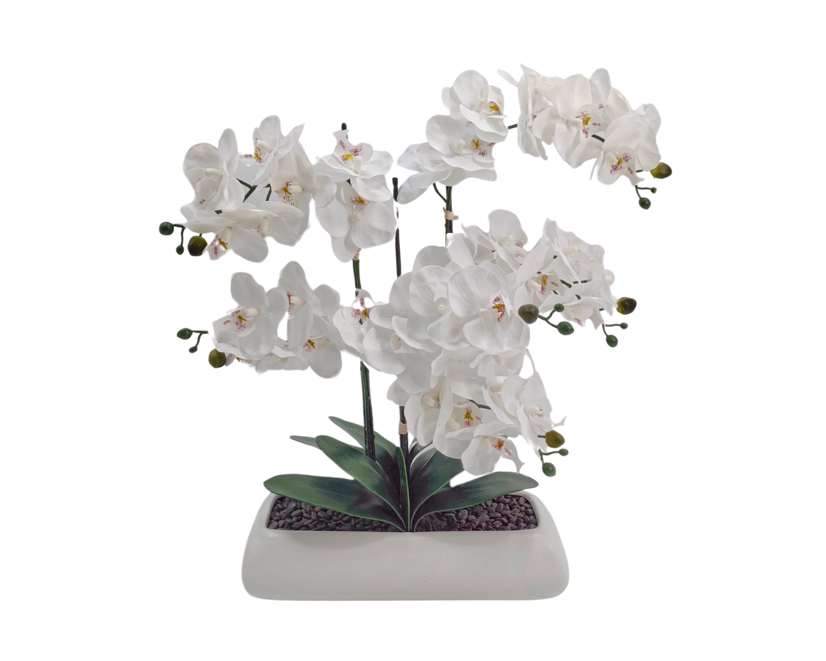 V637-AFL35436-202508251655-00 White Orchid In Rectangle Ceramic Pot 56x61cm - Image 1