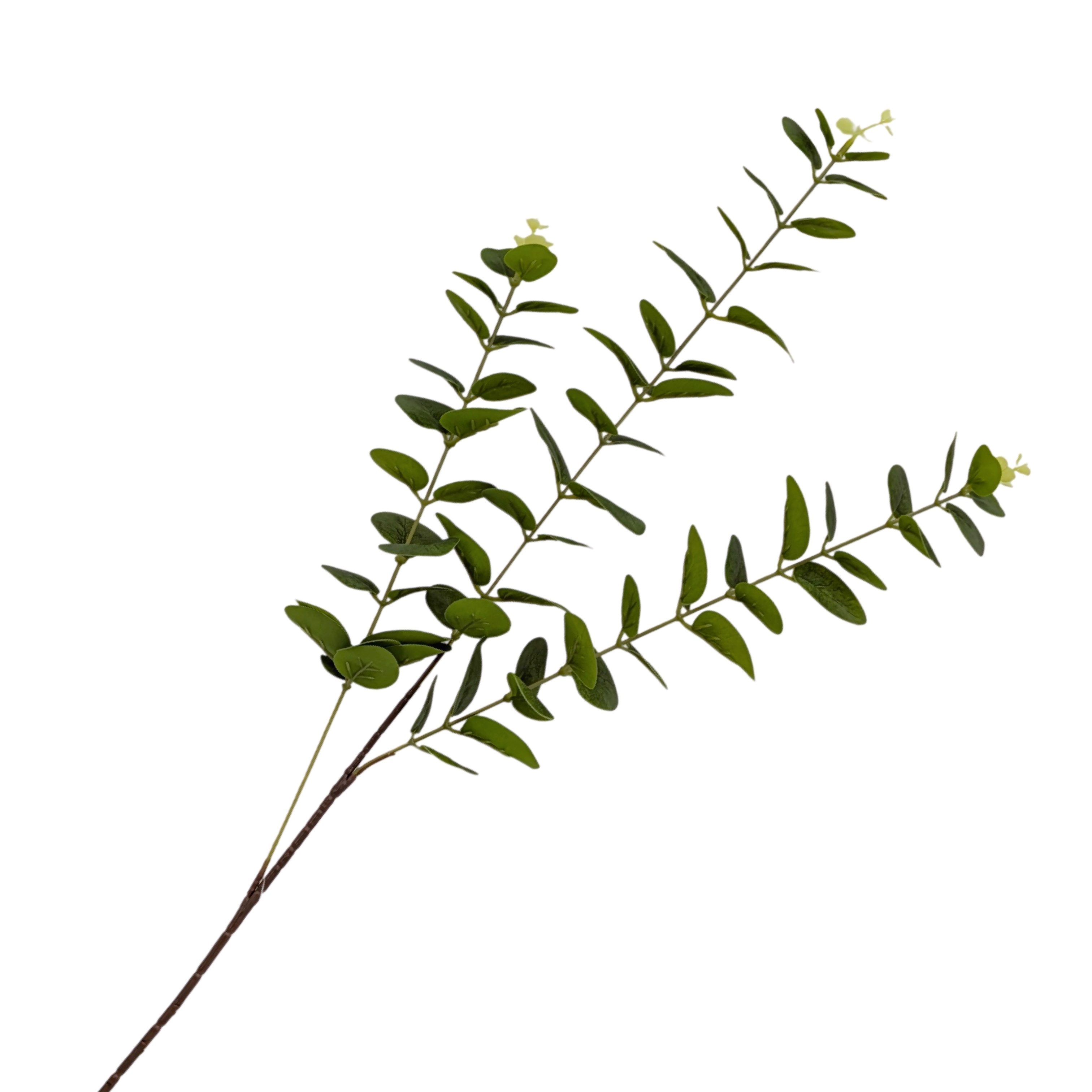 V637-AFL37037-202508251725-00 bulk 24 Artificial Eucalyptus Stem 3 Branches 2 Assort 80cm - Image 1