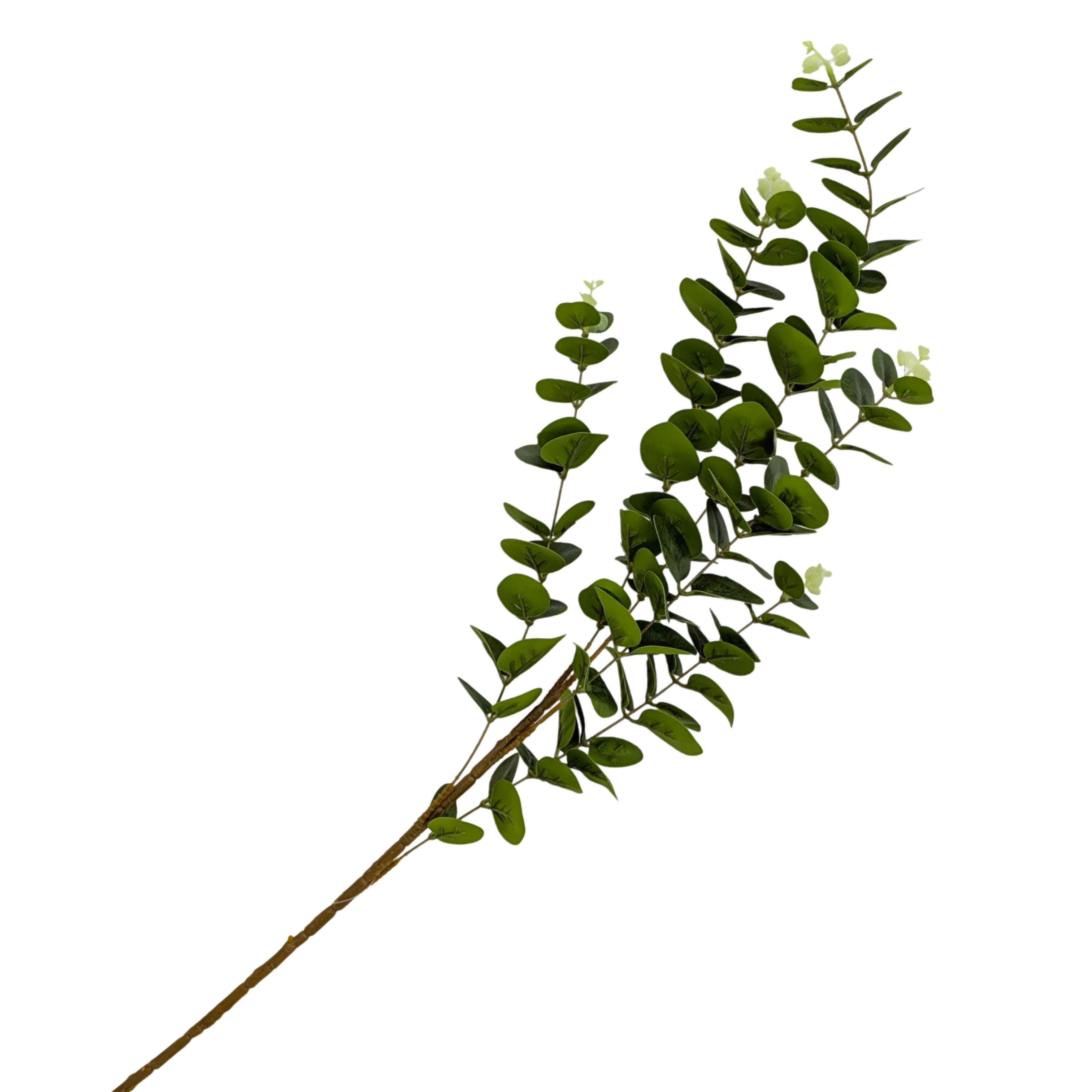 V637-AFL37038-202508251725-00 bulk 24 Artificial Eucalyptus Stem 5 Branches 2 Assort 97cm - Image 1