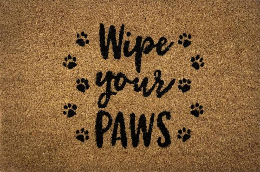 V637-E423622-202508252335-00 Wipe Your Paws Doormat Door Mat 60x40cm - Image 1
