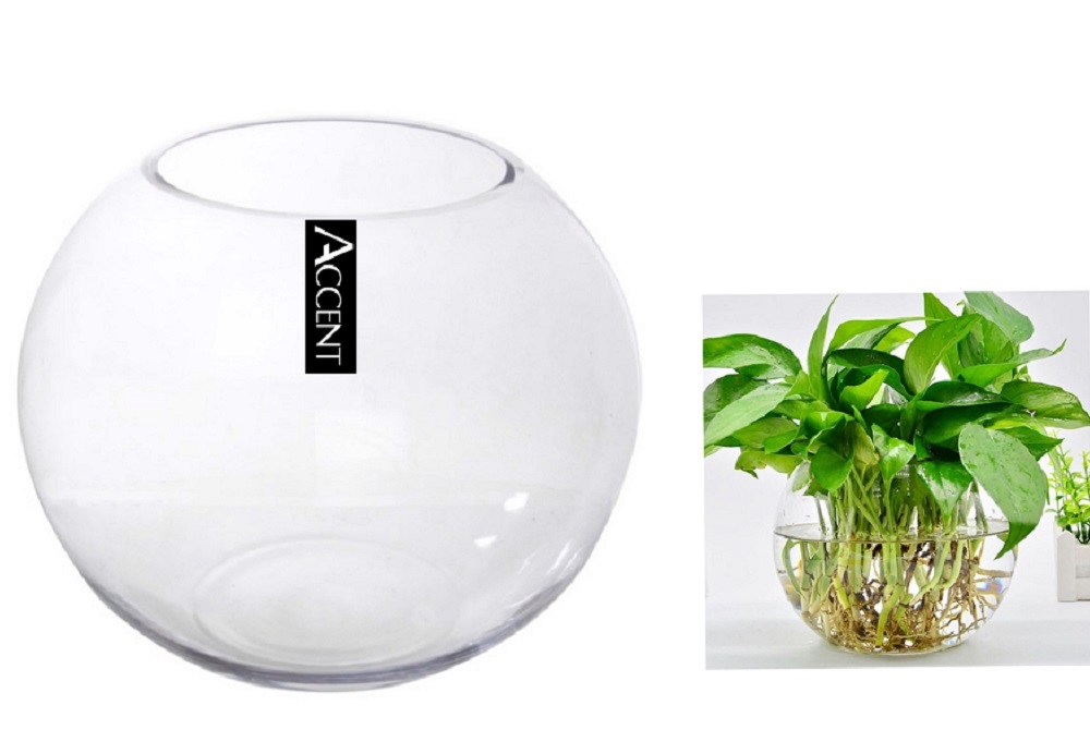 V637-GBO30320-202508252015-00 Glass Rose Fish Bowl 19x17cm - Image 1