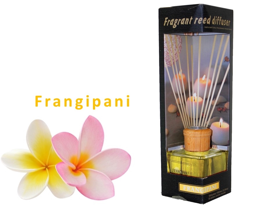 V637-INC5572-202508252240-00 bulk 12 Fragrant Oil Diffuser Frangipani 160ml 12 Rattan Sticks - Image 1