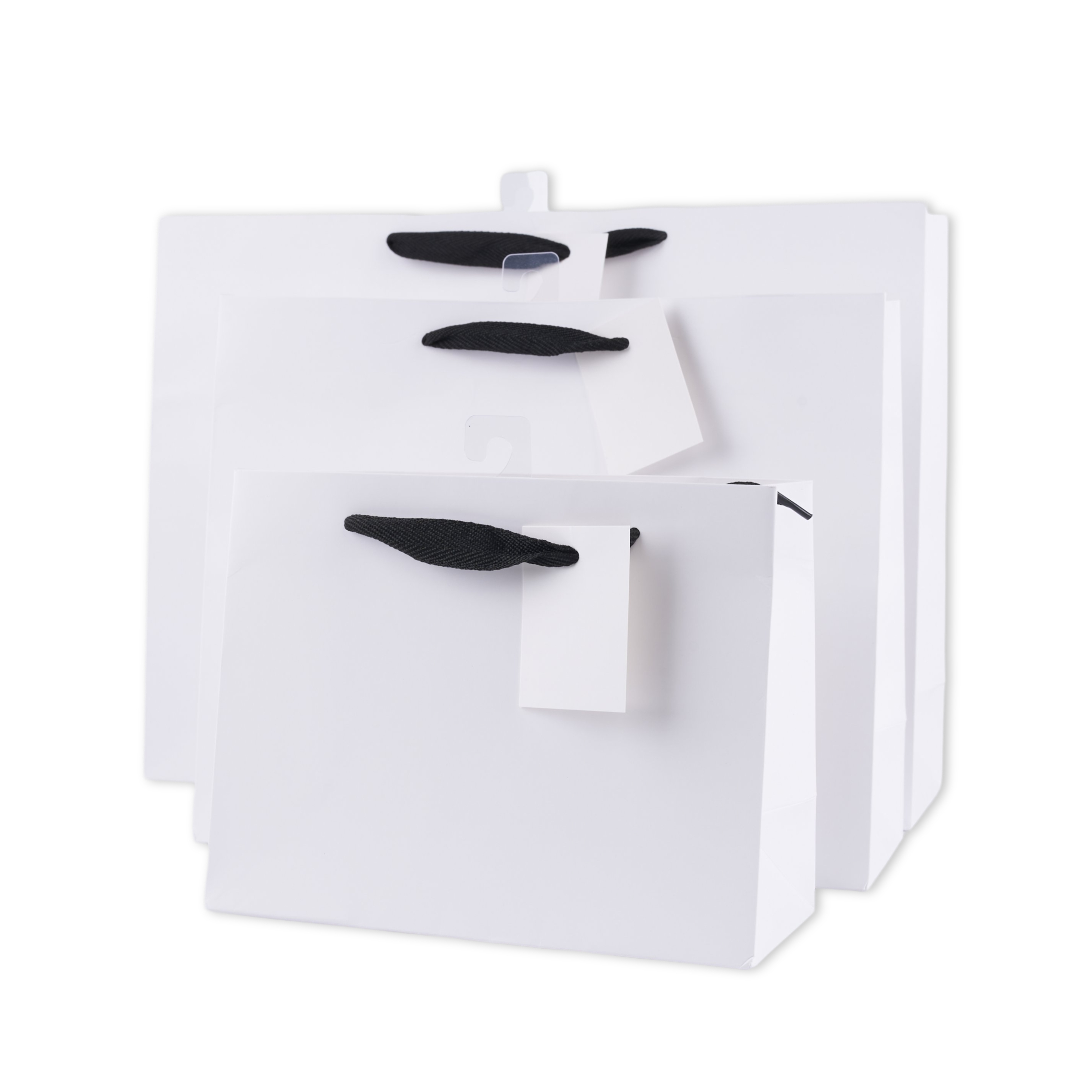 V637-WRP36492-202508260804-00 bulk 24 Medium Landscape Gift Bags w Handle 18x23cm - Image 1